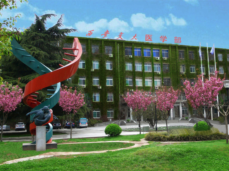 西安交通大学校园风光四